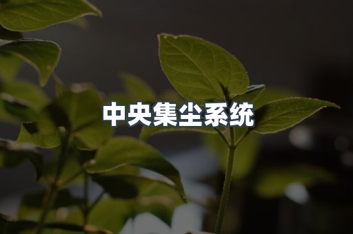 中央集尘系统