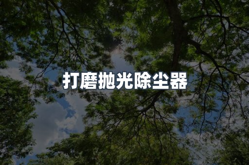 打磨抛光除尘器